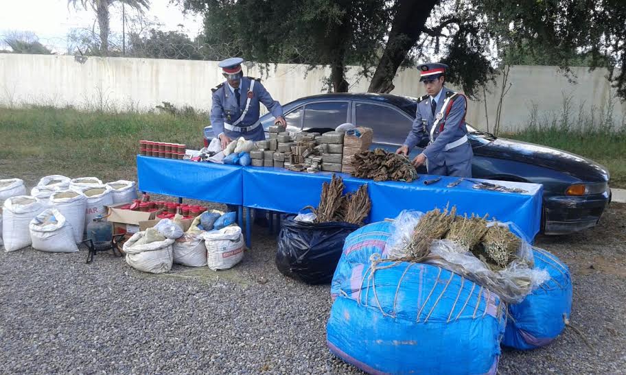 درك الحوز يحجز طن ونصف من مخدر الكيف في منطقة أمزميز